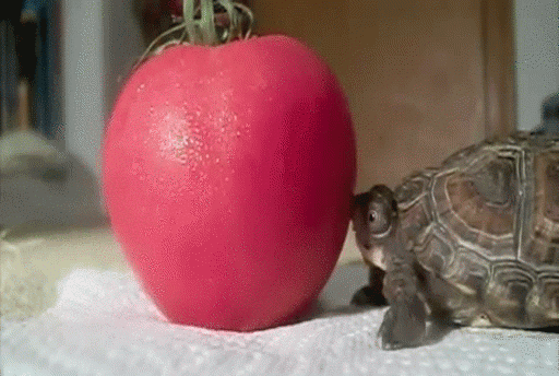 微信图片_20201009150628.gif