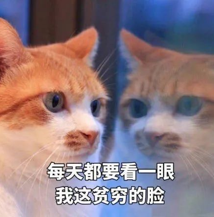 悄悄涨价！好多阜阳人去完商场、饭店，不淡定了…
