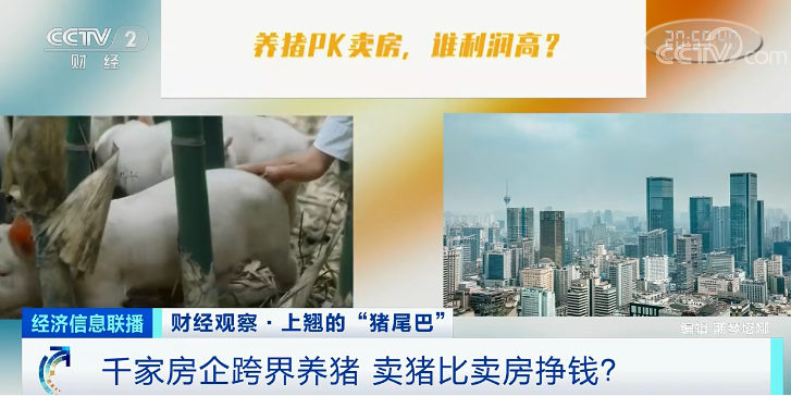 突然!价格反弹!阜阳本月还要涨!