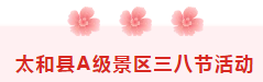 免费！阜阳多地景区宣布……