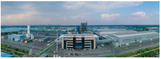 全国示范！全省唯一！阜阳这里连获两次五星级！