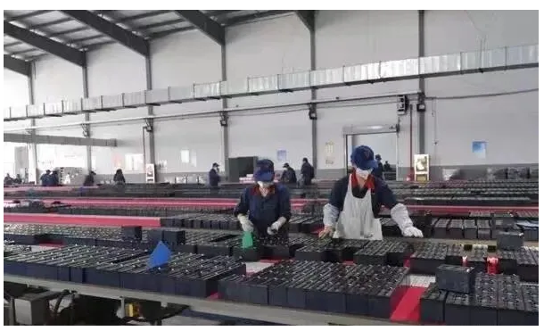 全国示范！全省唯一！阜阳这里连获两次五星级！