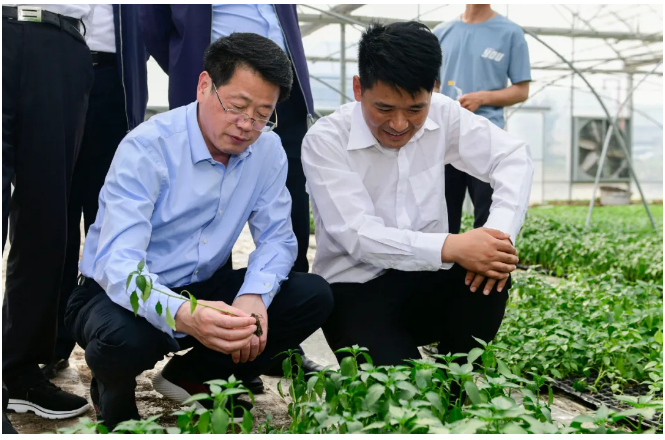 杨光荣在颍上县开展“我为群众办实事”实践活动:下基层听意见出实招办实事