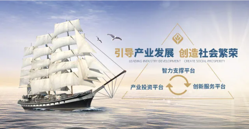 阜阳专项基金群撬动“两新”产业高质量发展!