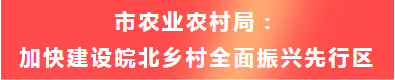 阜阳未来5年，他们这样干！