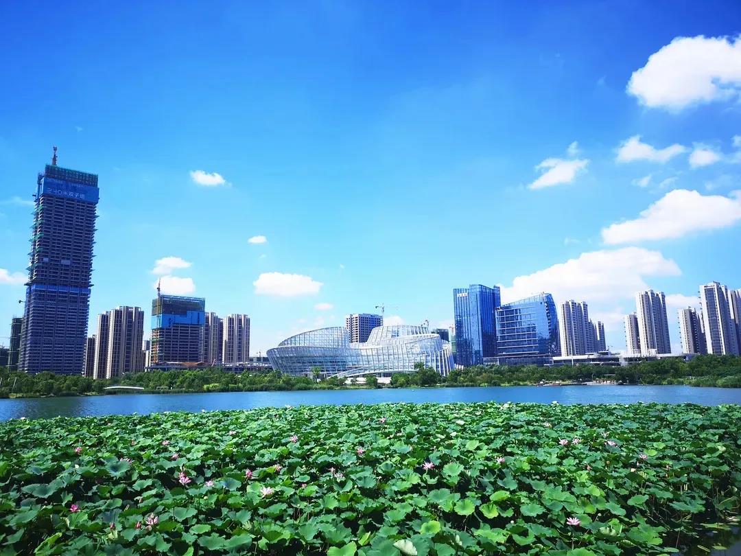 微信图片_20211108172409.jpg 全国第一!厉害了阜阳!