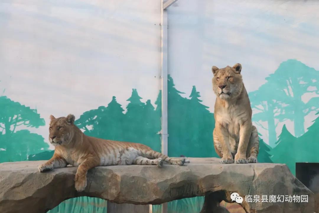 微信图片_20211109092517.jpg