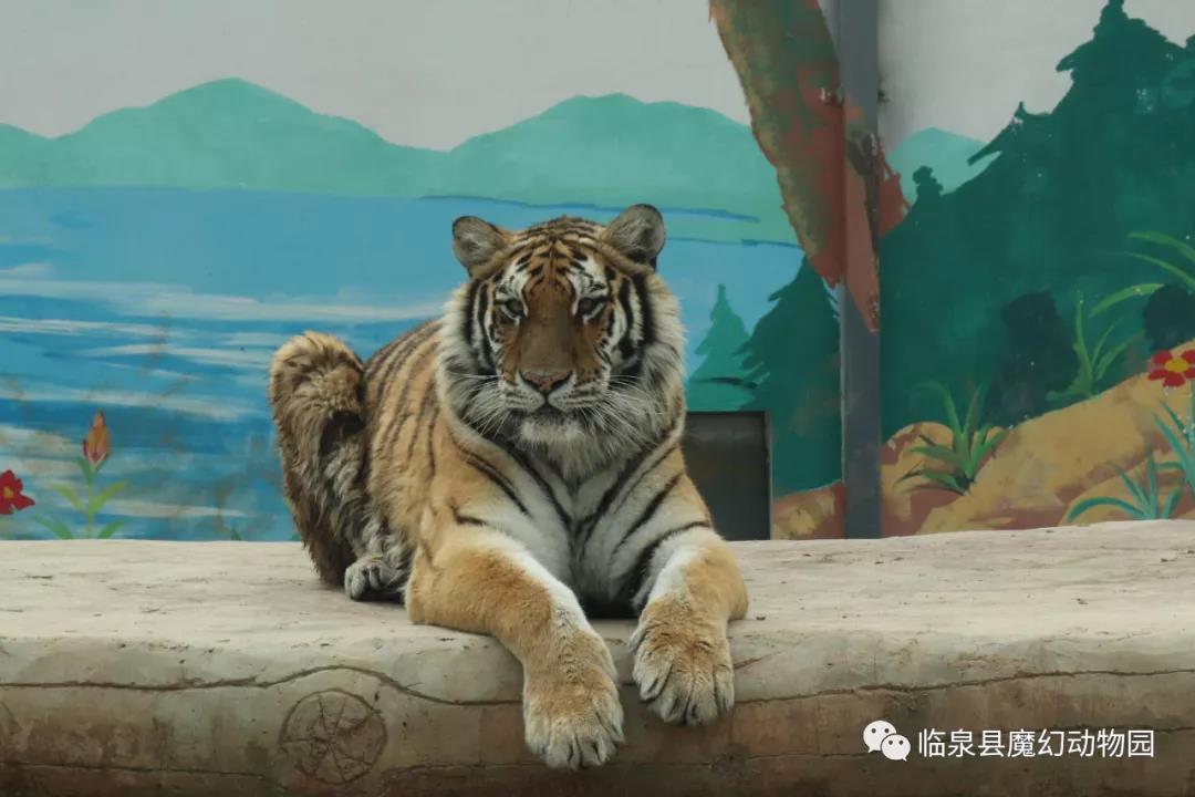 微信图片_20211109092519.jpg