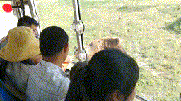 微信图片_20211109092710 00_00_00-00_00_30.gif