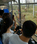 微信图片_20211109092715 00_00_00-00_00_30.gif