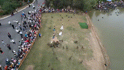 微信图片_20211109093155 00_00_00-00_00_30.gif