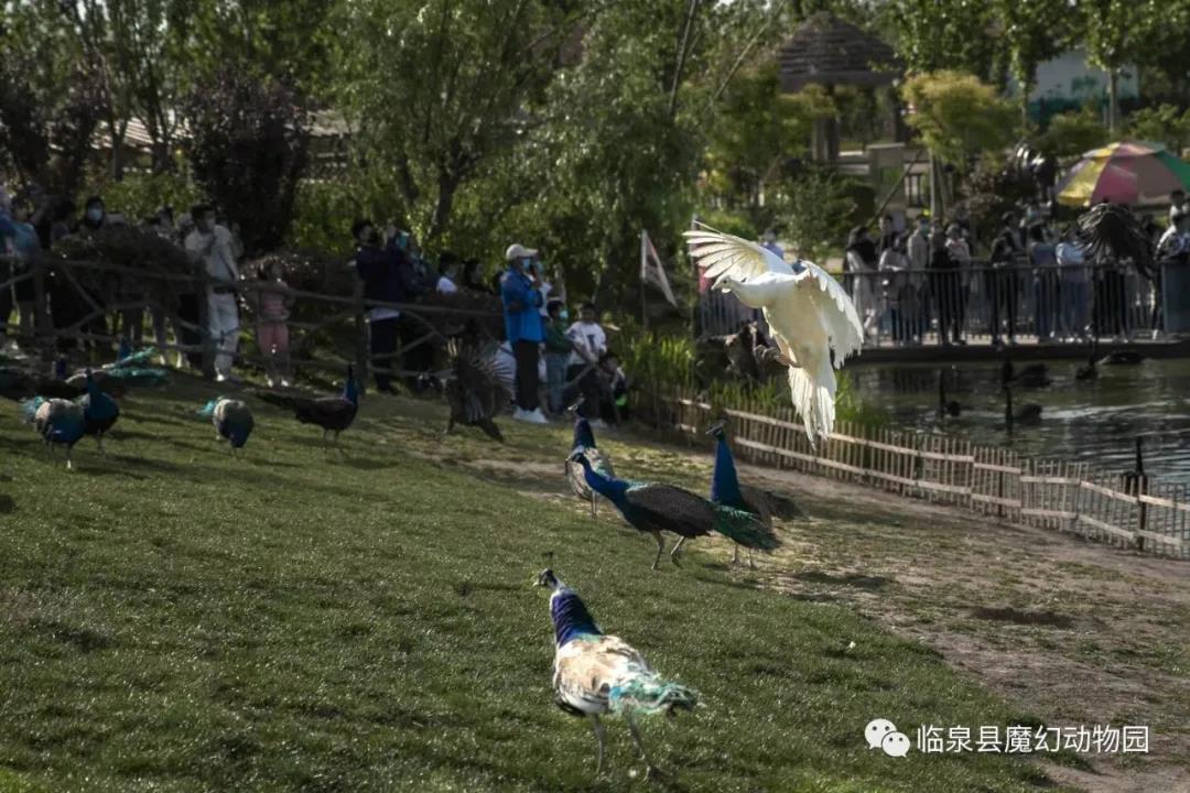 微信图片_20211109093158.jpg