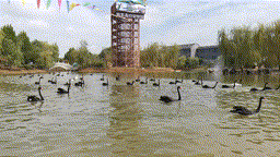 微信图片_20211109093432 00_00_00-00_00_30.gif