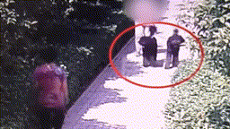 微信图片_20211120102743 00_00_00-00_00_30~1.gif 气哭“小莉”的狗主人,停职、道歉!