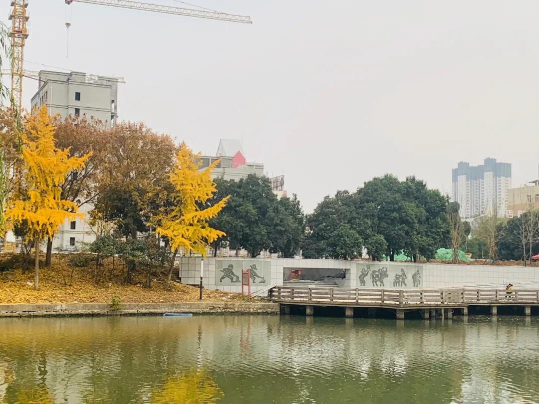 微信图片_20211122103252.jpg