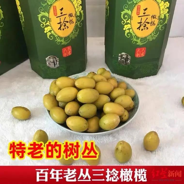 微信图片_20211124093230.jpg