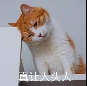 阜阳这两人被警方拦查……