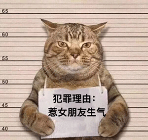 阜阳这两人被警方拦查……