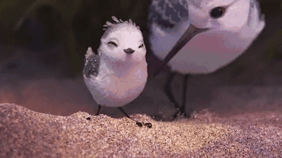 微信图片_20211209093942.gif