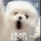 合肥一彩民中奖1.86亿元