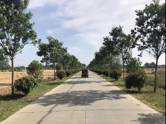阜阳这三条农村公路获省级荣誉！