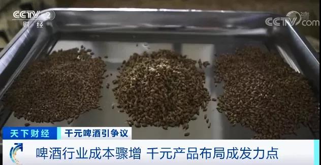 一瓶啤酒贵过飞天茅台？千元啤酒，真的更香吗？