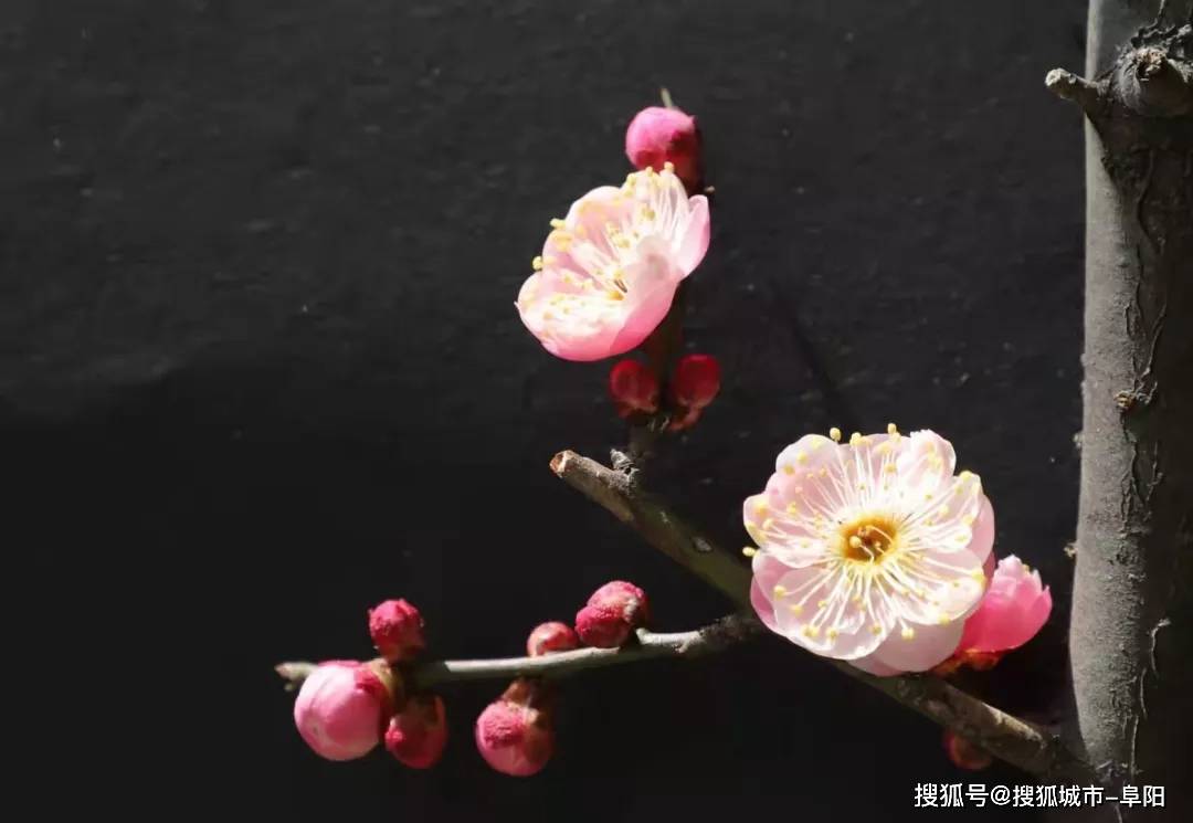 今天开始 阜阳天气将变好