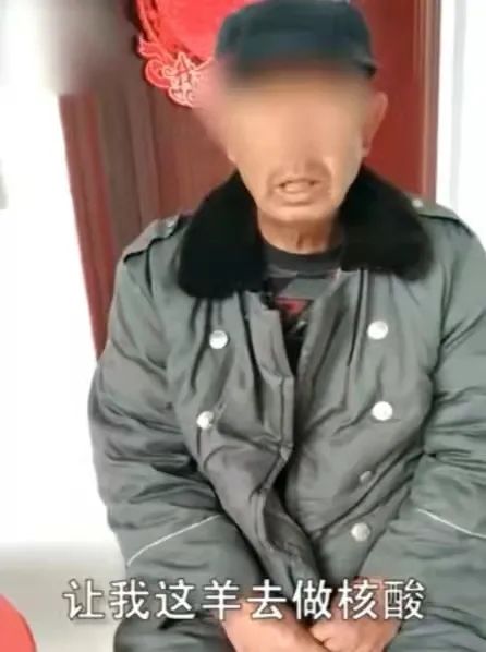 借口“给羊做核酸”顺手牵羊！官方回应