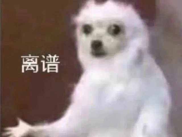 男子高速应急车道内停车呼呼大睡