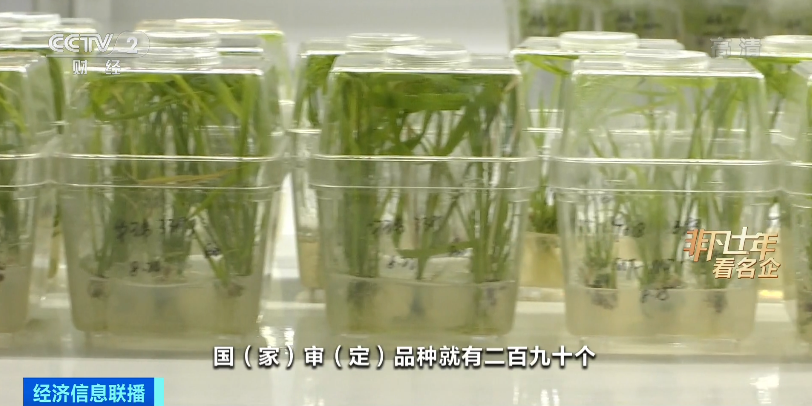 微信图片_20220921105817.png 这一“世界500强”企业,排名上升90多名!有何独家“秘籍”→