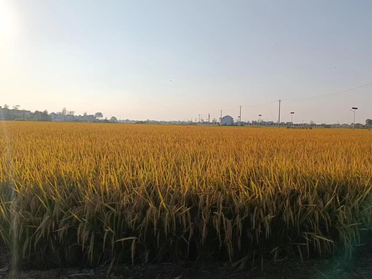 微信图片_20221017140944.jpg