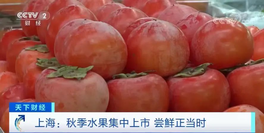 微信图片_20221019090616.jpg