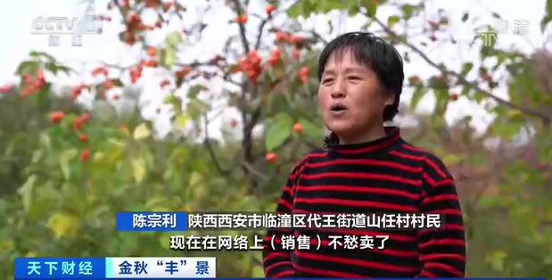 网购“爆单”！火晶柿子，火了→