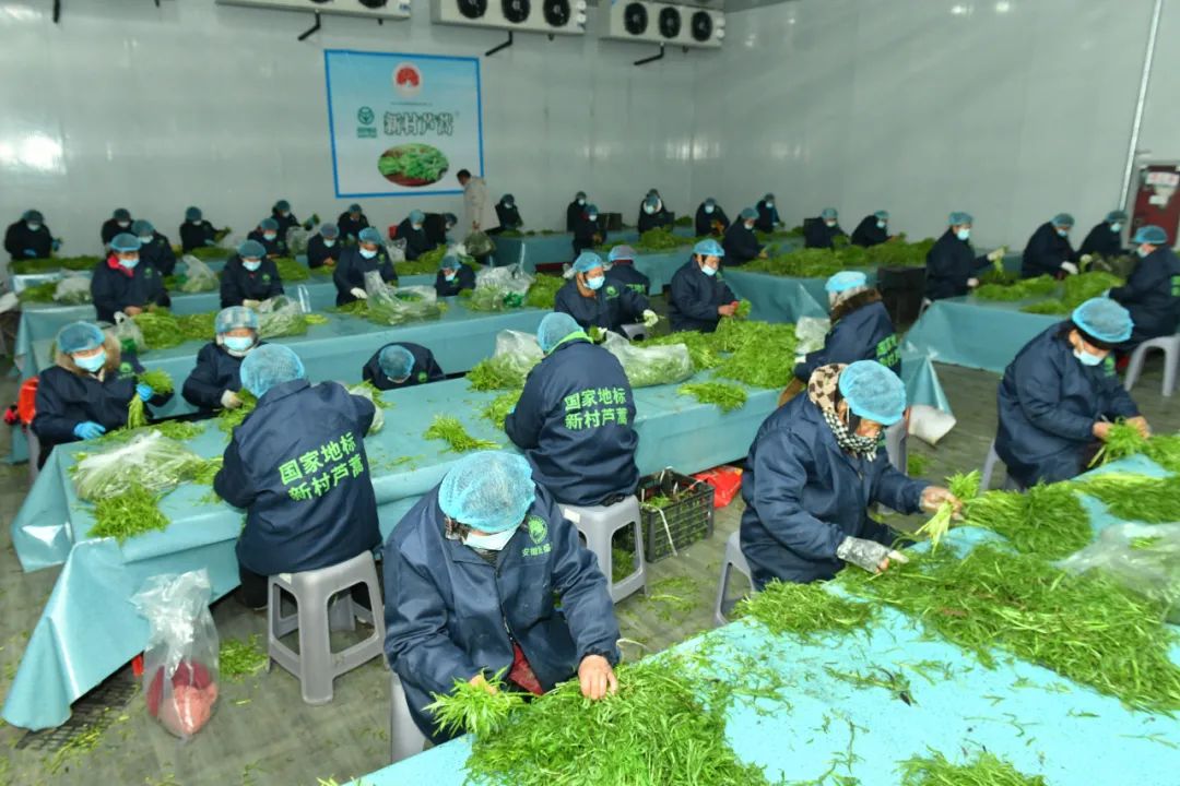 微信图片_20221027135753.jpg