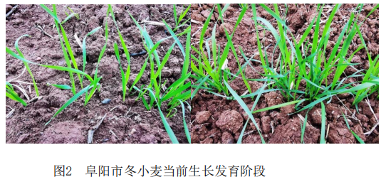 微信图片_20221129163911.png