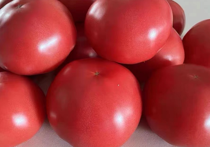 人工催熟的西红柿能吃吗？