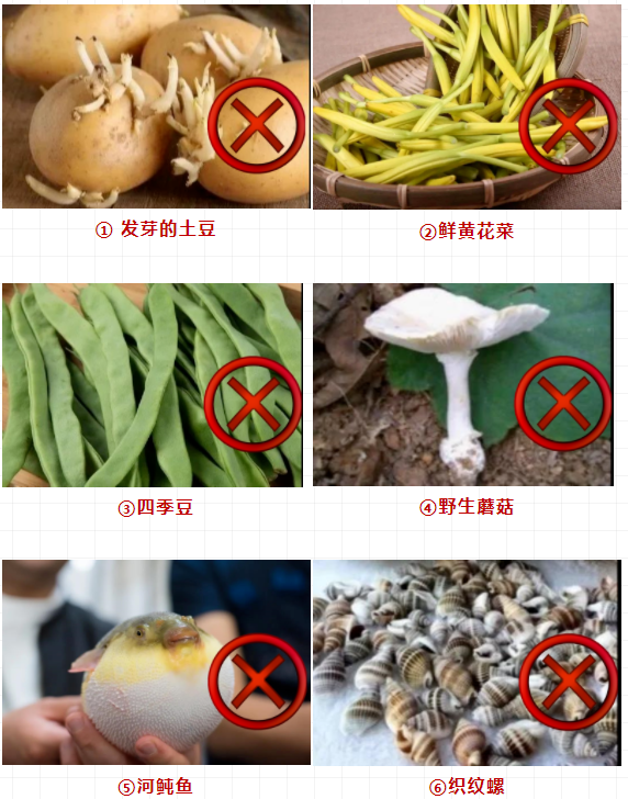 警惕这些食品！学校食堂禁用、慎用！