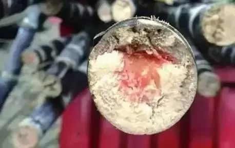 微信图片_20230313140738.jpg 不要吃!不要吃!不要吃!