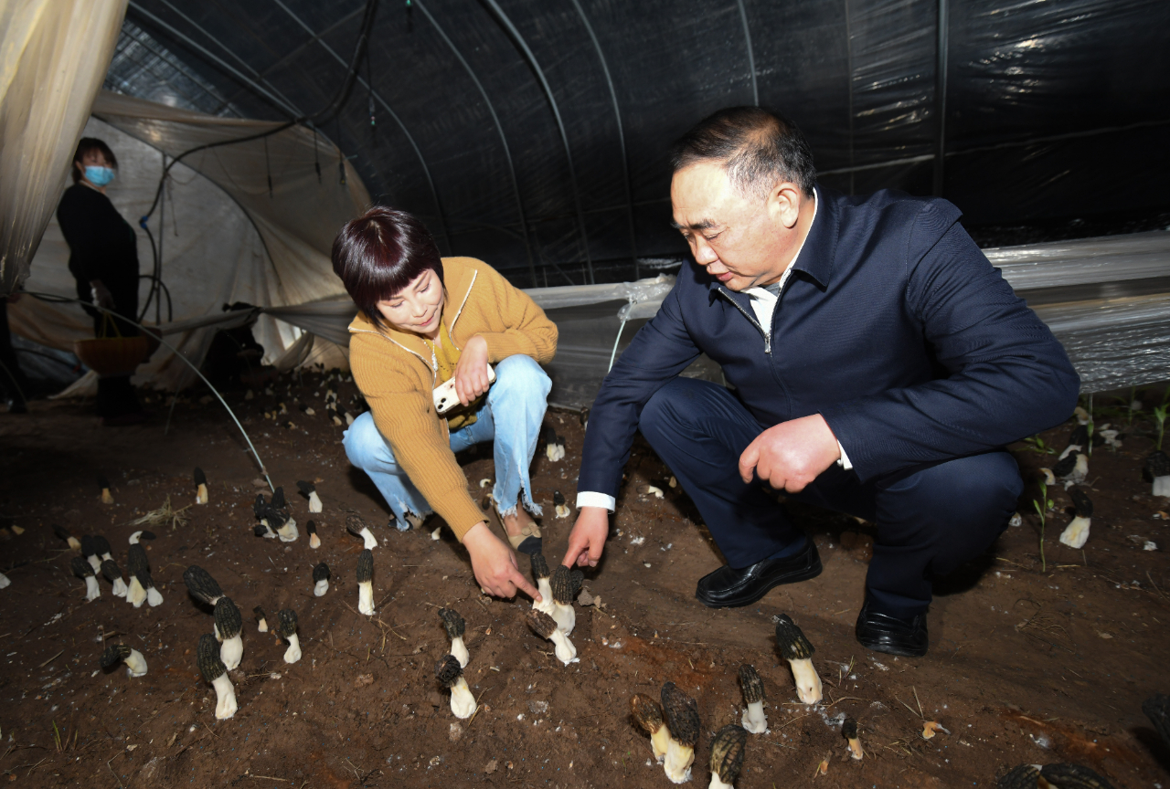 孙正东到界首市调研督导乡村振兴、重点项目建设等工作
