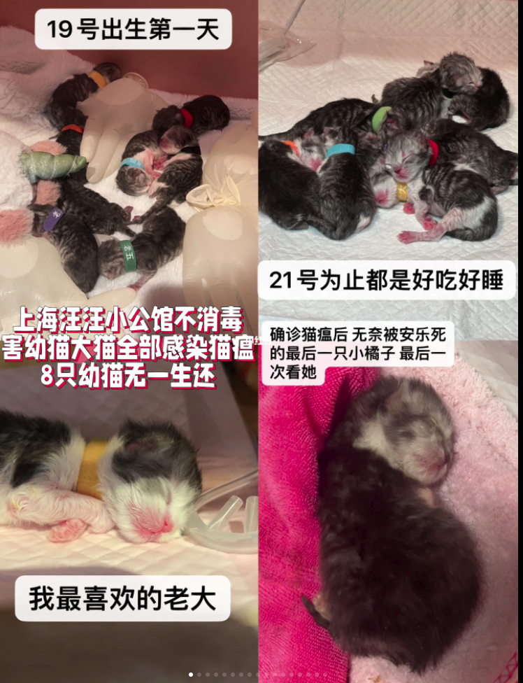 微信图片_20230602145706.png