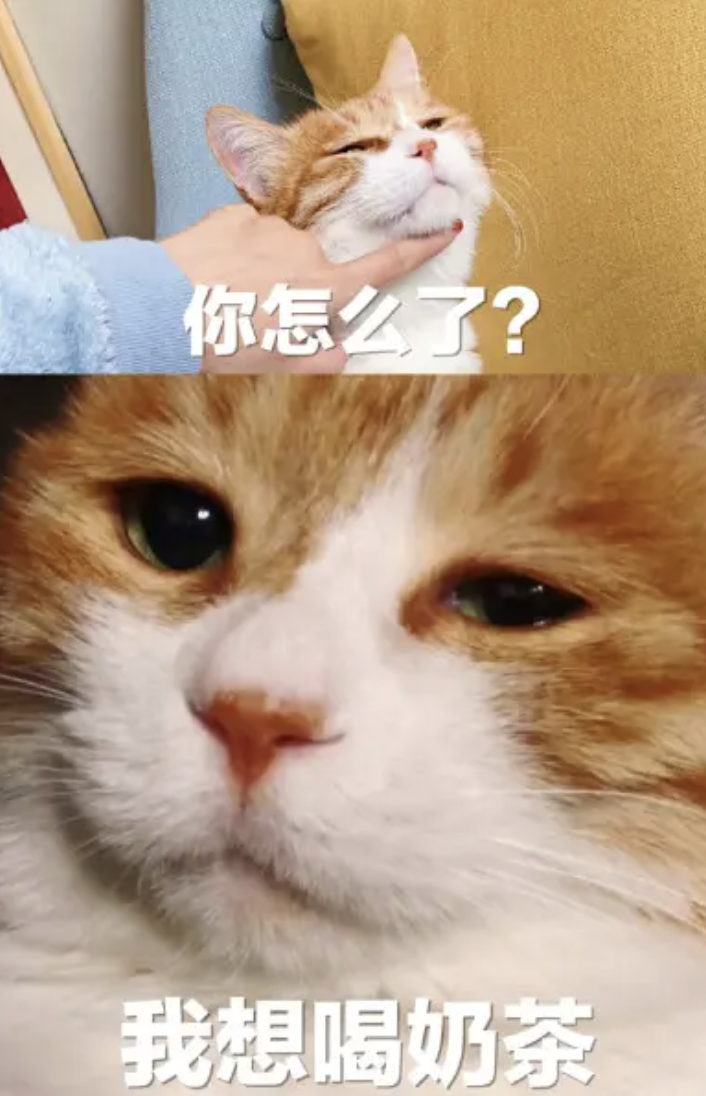 微信图片_20230714083744.png