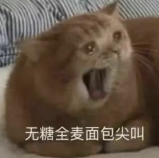 微信图片_20230714083747.png