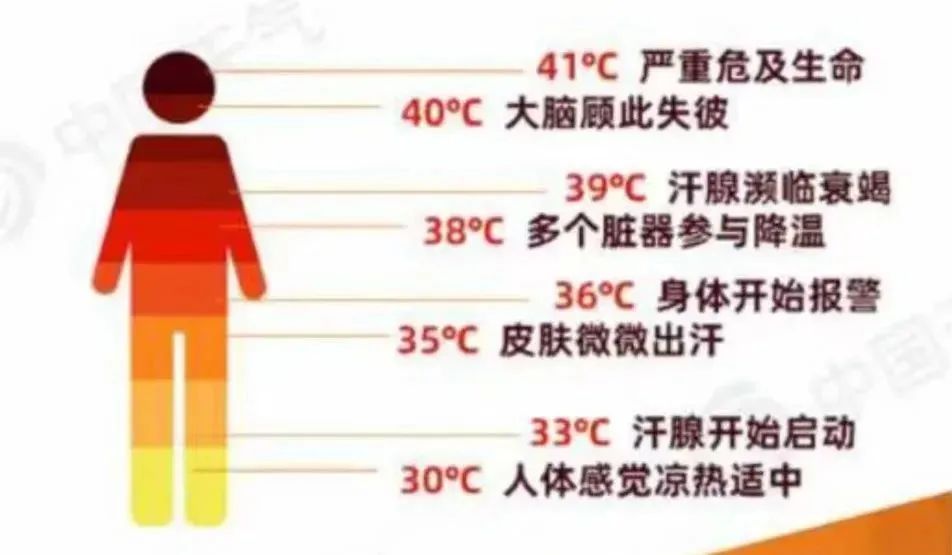 微信图片_20230717083027.jpg