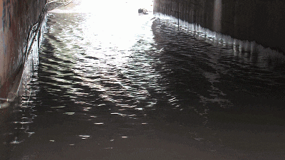 微信图片_20230720144231.gif