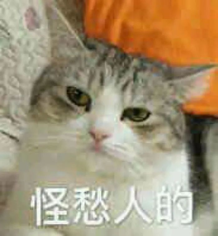 大学生生活费有什么标准？大概需要多少钱,团团开展了一个问卷调查,我们一起来看看。