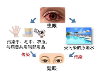 微信图片_20230916084325_1.png