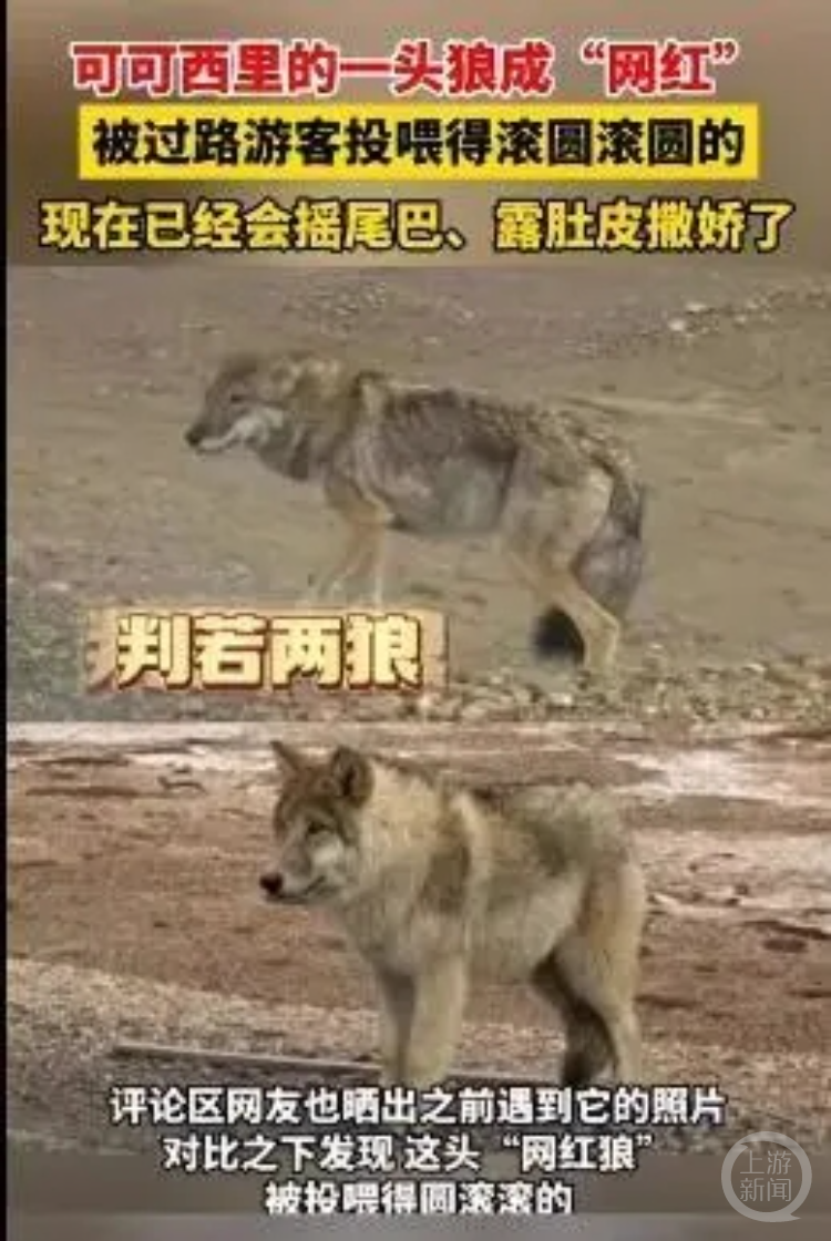 微信图片_20231025145136_1.png