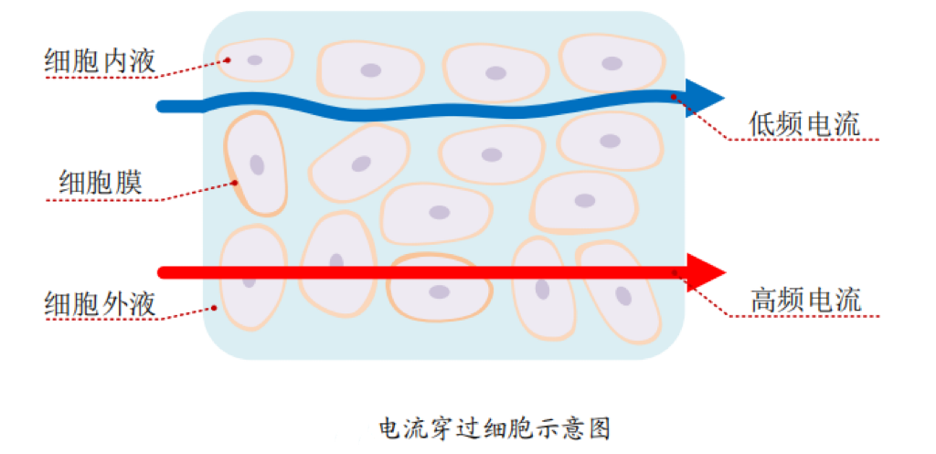 微信图片_20231104085325.png