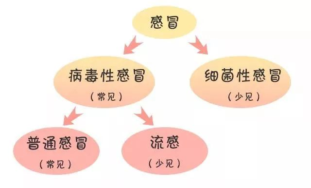 当心！流感高峰来袭？医生说最有效的还是它…