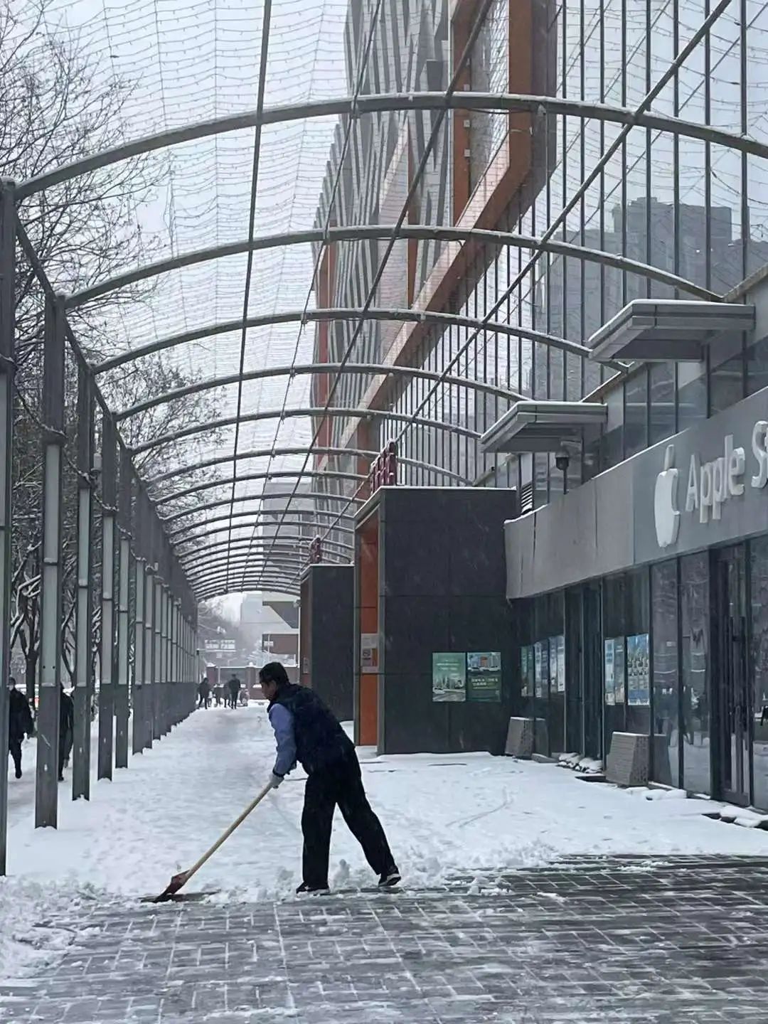 多地暴雪！停运、停课！阜阳接下来...